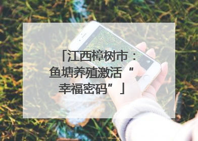 江西樟树市：鱼塘养殖激活“幸福密码”