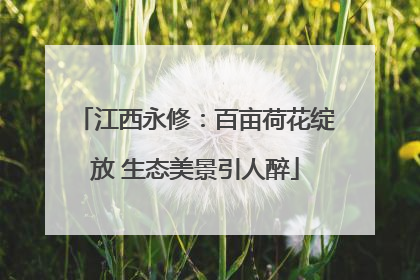 江西永修：百亩荷花绽放 生态美景引人醉