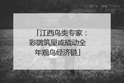 江西鸟类专家：彩鹮筑巢或撬动全年观鸟经济链