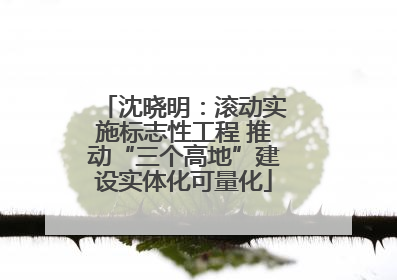 沈晓明：滚动实施标志性工程 推动“三个高地”建设实体化可量化