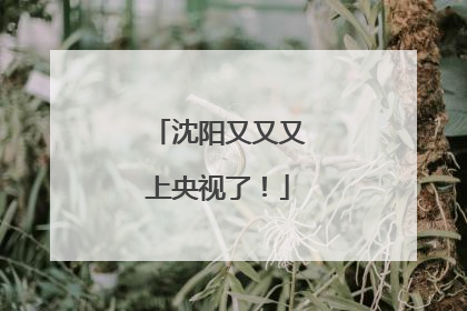 沈阳又又又上央视了！