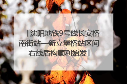 沈阳地铁9号线长安桥南街站—新立堡桥站区间右线盾构顺利始发