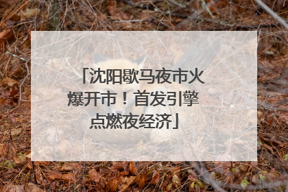 沈阳歇马夜市火爆开市！首发引擎点燃夜经济