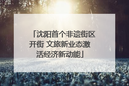 沈阳首个非遗街区开街 文旅新业态激活经济新动能
