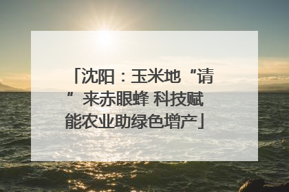 沈阳：玉米地“请”来赤眼蜂 科技赋能农业助绿色增产