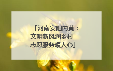 河南安阳内黄：文明新风润乡村 志愿服务暖人心