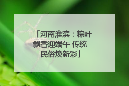 河南淮滨：粽叶飘香迎端午 传统民俗焕新彩