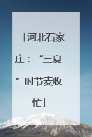 河北石家庄：“三夏”时节麦收忙