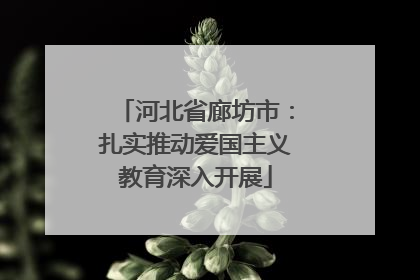 河北省廊坊市：扎实推动爱国主义教育深入开展
