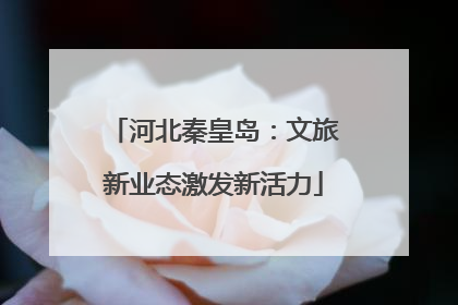 河北秦皇岛：文旅新业态激发新活力