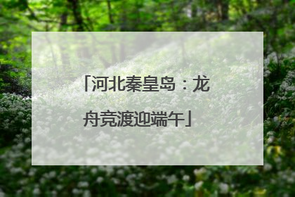 河北秦皇岛：龙舟竞渡迎端午