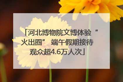 河北博物院文博体验“火出圈” 端午假期接待观众超4.6万人次