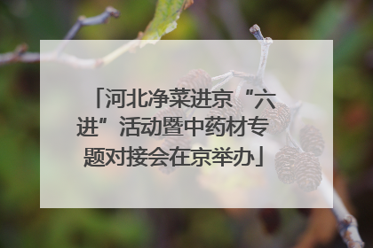 河北净菜进京“六进”活动暨中药材专题对接会在京举办