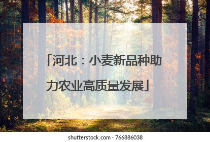 河北：小麦新品种助力农业高质量发展