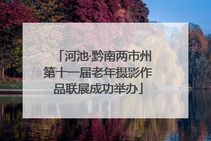 河池·黔南两市州第十一届老年摄影作品联展成功举办