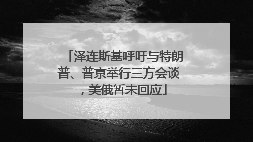泽连斯基呼吁与特朗普、普京举行三方会谈，美俄暂未回应