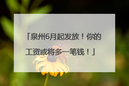 泉州6月起发放！你的工资或将多一笔钱！