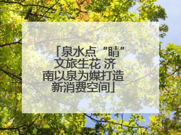 泉水点“睛” 文旅生花 济南以泉为媒打造新消费空间