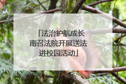 法治护航成长 南召法院开展送法进校园活动