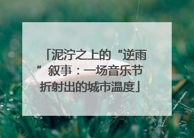 泥泞之上的“逆雨”叙事：一场音乐节折射出的城市温度