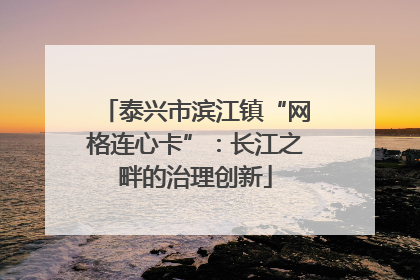 泰兴市滨江镇“网格连心卡”：长江之畔的治理创新