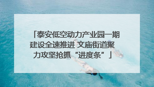 泰安低空动力产业园一期建设全速推进 文庙街道聚力攻坚抢抓“进度条”