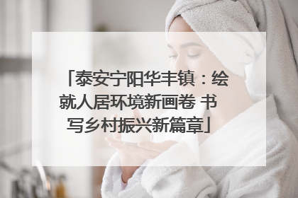 泰安宁阳华丰镇：绘就人居环境新画卷 书写乡村振兴新篇章