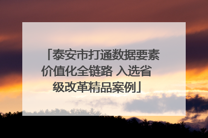 泰安市打通数据要素价值化全链路 入选省级改革精品案例