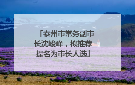 泰州市常务副市长沈峻峰，拟推荐提名为市长人选