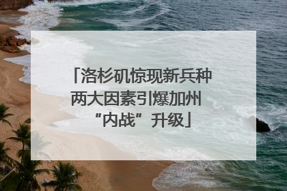 洛杉矶惊现新兵种 两大因素引爆加州“内战”升级