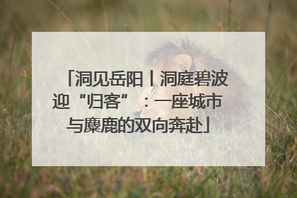 洞见岳阳丨洞庭碧波迎“归客”：一座城市与麋鹿的双向奔赴