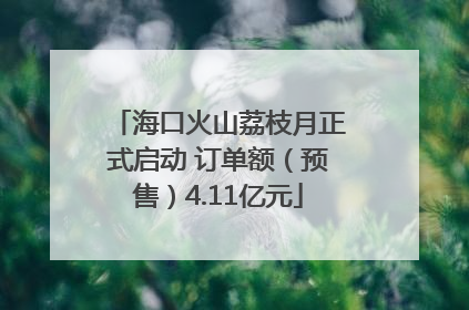 海口火山荔枝月正式启动 订单额（预售）4.11亿元