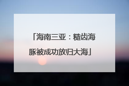 海南三亚：糙齿海豚被成功放归大海
