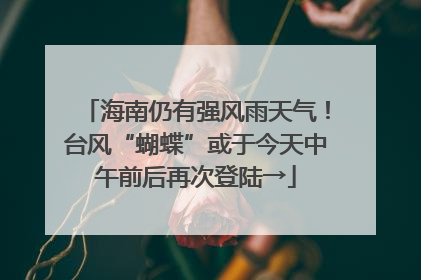 海南仍有强风雨天气！台风“蝴蝶”或于今天中午前后再次登陆→