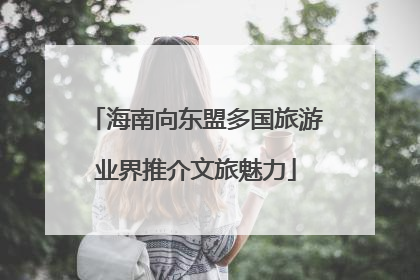 海南向东盟多国旅游业界推介文旅魅力