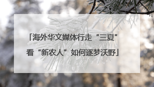 海外华文媒体行走“三夏” 看“新农人”如何逐梦沃野