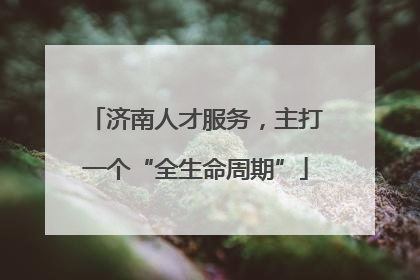 济南人才服务，主打一个“全生命周期”