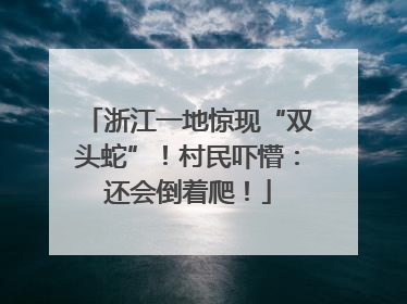 浙江一地惊现“双头蛇”！村民吓懵：还会倒着爬！