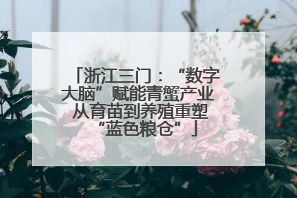 浙江三门：“数字大脑”赋能青蟹产业 从育苗到养殖重塑“蓝色粮仓”
