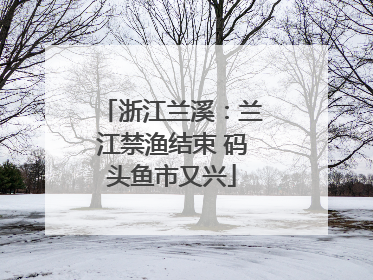 浙江兰溪：兰江禁渔结束 码头鱼市又兴