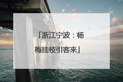 浙江宁波：杨梅挂枝引客来