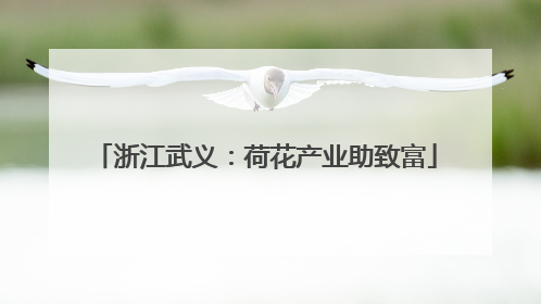 浙江武义：荷花产业助致富