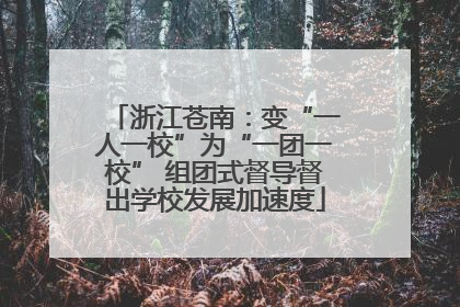 浙江苍南：变“一人一校”为“一团一校” 组团式督导督出学校发展加速度