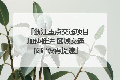 浙江重点交通项目加速推进 区域交通圈建设再提速