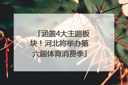 涵盖4大主题板块！河北将举办第六届体育消费季