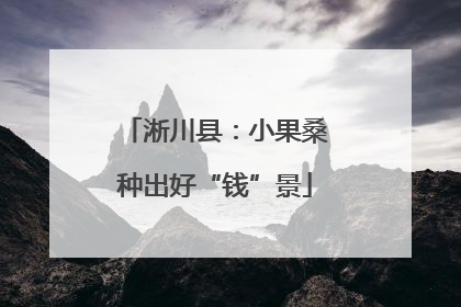 淅川县：小果桑种出好“钱”景