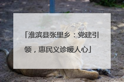 淮滨县张里乡：党建引领，惠民义诊暖人心