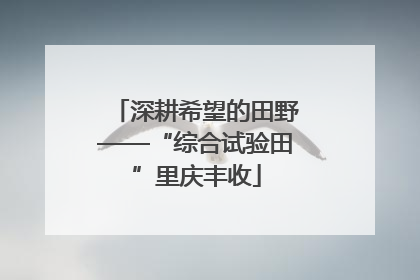 深耕希望的田野——“综合试验田”里庆丰收