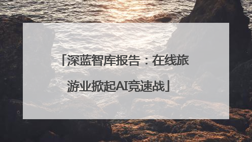 深蓝智库报告：在线旅游业掀起AI竞速战