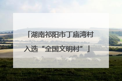 湖南祁阳市丁庙湾村入选“全国文明村”
